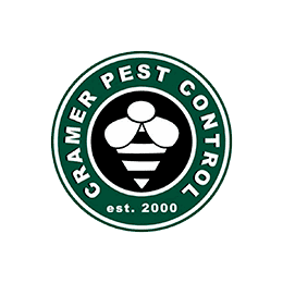 Pest Control Company Essex