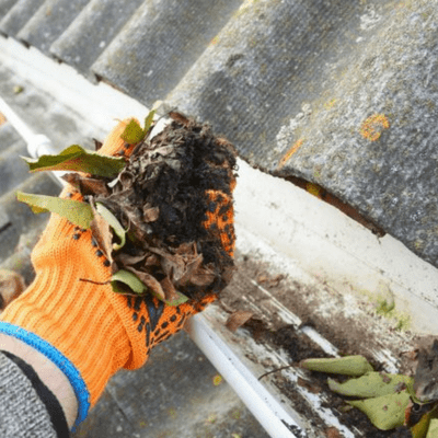 Clean gutters equals no mosquitoes!