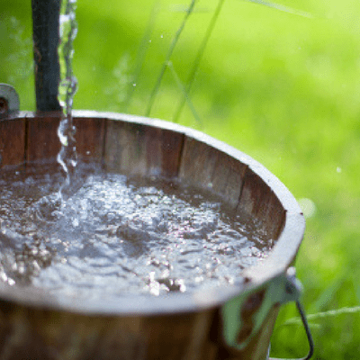 Standing water is a mosquito's breeding ground - literally!