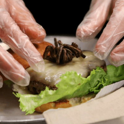 spider on burger