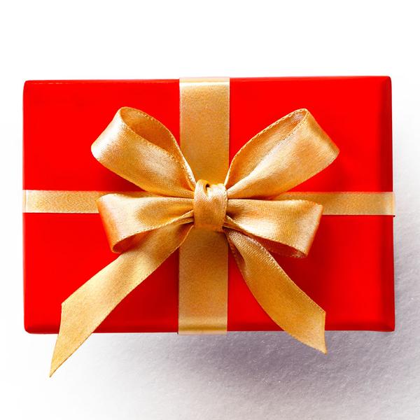 Looking For The Perfect Gift? Try The Gift of a Pest Free Home