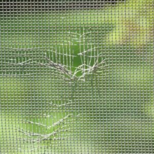 A fall pest prevention technique is to check and repair any damaged screens around your home.