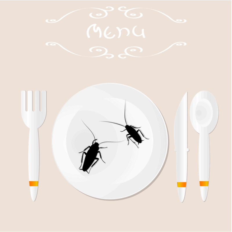 As Restaurants Open Back-Up, Don’t Allow Pests to Impact Your Bottom Line