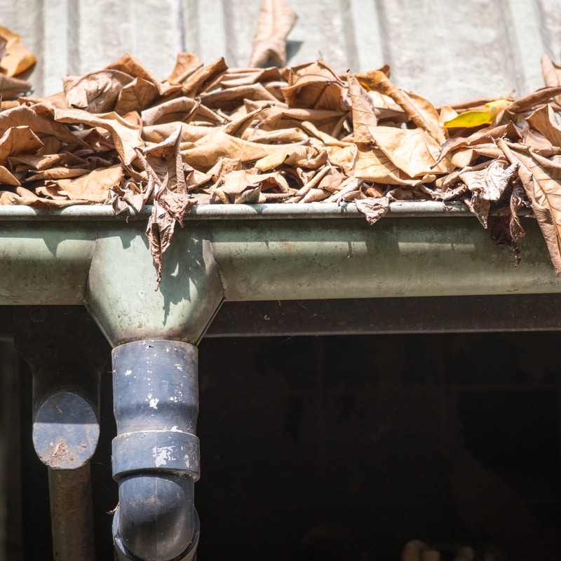 The Benefits Of Keeping Your Gutters Clear