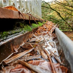 flooded gutter due to clogging