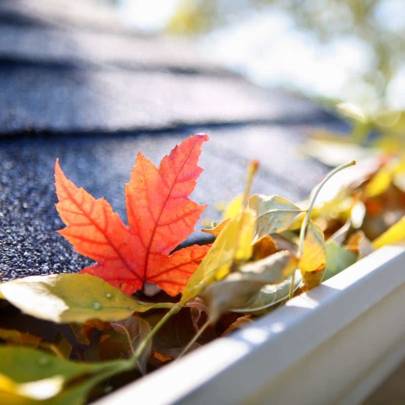 The Importance of Cleaning Out Your Gutters in the Spring