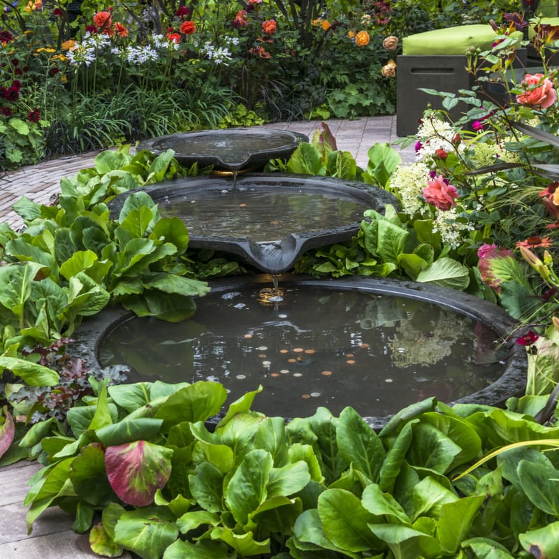How to Stop Mosquitoes From Ruining Your Water Features