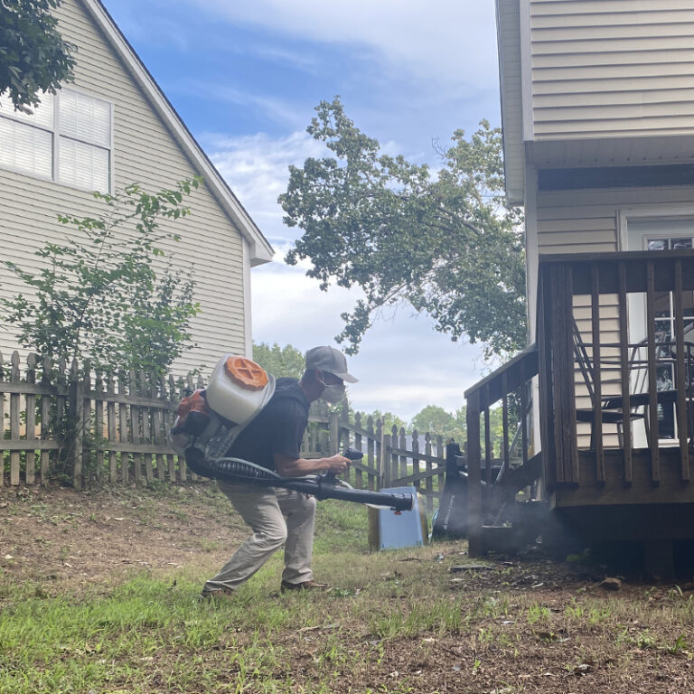 Understanding the Mosquito Life Cycle Cramer Pest Control