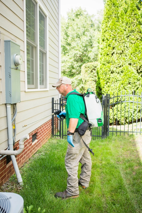 Pest Control Charlotte NC 