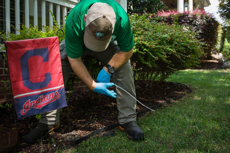 Rodent removal Columbia SC